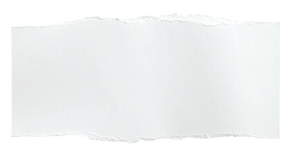 Torn piece of white paper, rough edges, blank rectangle shape