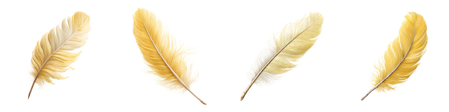 Golden Watercolor Feathers: Elegant Plume Collection