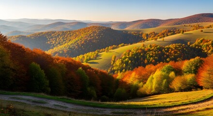 Obraz premium Rolling hills showcase vibrant autumn foliage under a clear blue sky casting long shadows