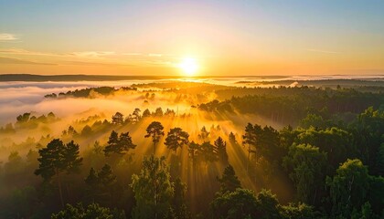 Golden sunrise rays through misty forest canopy casting dramatic light and shadows over evergreen trees and distant horizon in a serene natural landscape