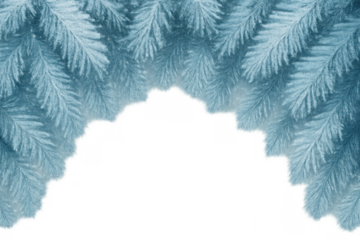 Frost patterns forming on window glass, creating intricate natural ice crystal artwork, transparent background