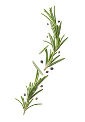 Rosemary Sprigs With Pepper Corns Isolated on Transparent Background