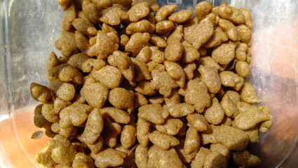 Close up shot of a pile of cat food
