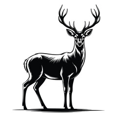 silhouette of a deer