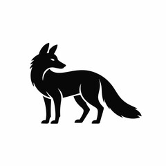 Elegant black fox standing alert on white background animal silhouette