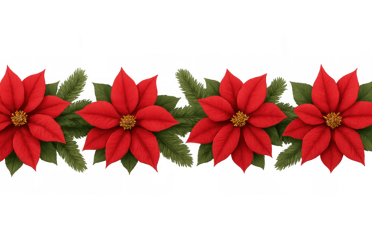 Poinsettia christmas border creating a festive decoration, holiday floral design with fir leaves, transparent background