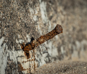 clavo con herrumbre en el mar 