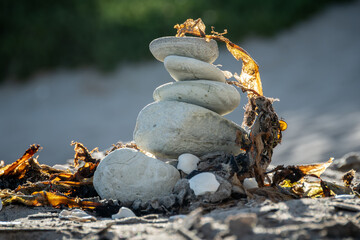piedras de mar , caracoles , algas , arena , blanco ,verde , contraluz