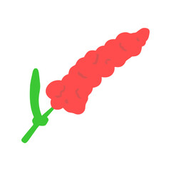 Hand-Drawn Red Spike Flower with Green Leaf Botanical Illustration