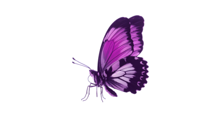 Stunning vivid purple butterfly with intricate wing patterns captured in a dynamic profile view, perfect for nature and design projects.