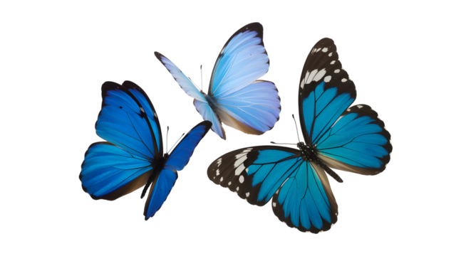 Graceful blue butterflies flutter in elegant harmony, symbolizing transformation and natural beauty for uplifting designs and enchanting projects