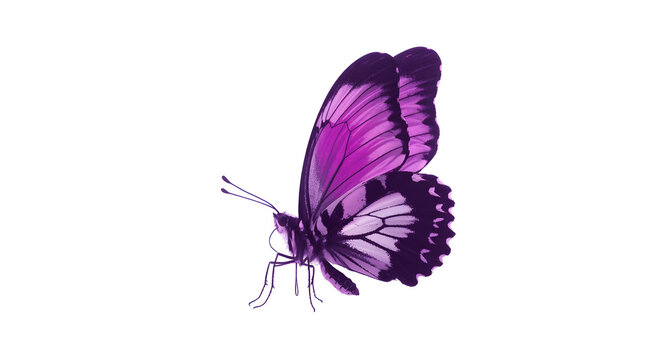 Stunning vivid purple butterfly with intricate wing patterns captured in a dynamic profile view, perfect for nature and design projects. - Powered by Adobe