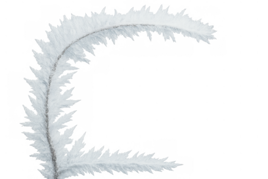 Frost crystals forming delicate pattern on plant stem, winter nature ice texture on transparent background - Powered by Adobe