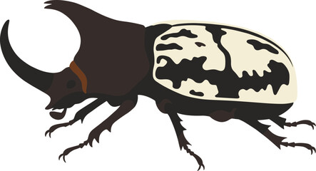 Detailed Flat Illustration of an Isolated Rhinoceros Beetle Insect Creature