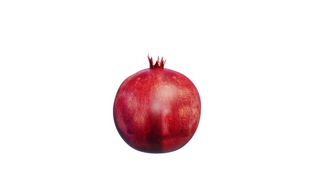 3d fresh Red pomegranate fruit spinning loop isolated on white screen, 4k  vibrant, vivid ripe Pomegranate rotation illuminated by soft studio lighting animation, for health, gardening, or agriculture