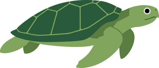 Flat Design Simplistic Green Sea Turtle Aquatic Animal Illustration