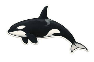 Fototapeta premium Orca killer whale illustration sticker design with white outline, representing marine life and ocean conservation on transparent background