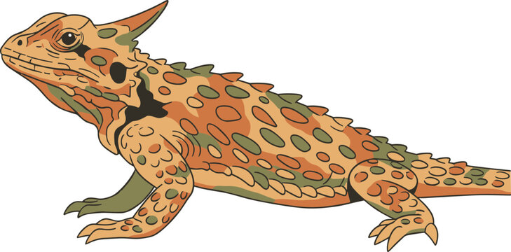 Detailed Line Art Thorny Devil Lizard Reptile Australian Wildlife Illustration
