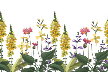 Vector floral seamless pattern, border