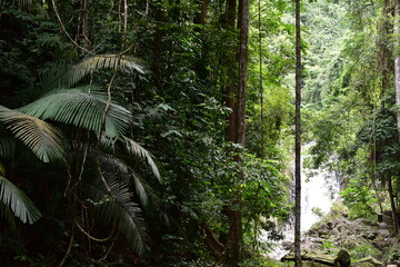 Obraz premium Huai To Waterfall is located in Khao Phanom Bencha National Park. It is the most beautiful waterfall in the park. Its source comes from the Phanom Bencha mountain range