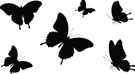 Fototapeta premium Set of flying butterfly silhouettes isolated on white background, elegant black insect shapes, minimalist vector illustration for design and decoration