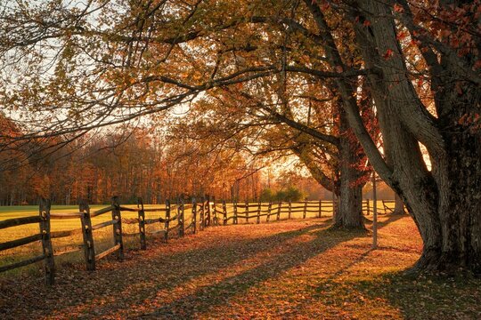 Autumn color at Knox Farm State Park, East Aurora, New York