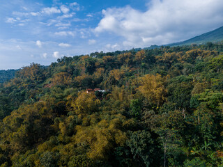 Beautiful tropical mountain landscape with dense green forest under a bright blue sky and dramatic white clouds. Natural scenery showing lush vegetation, misty hills, and vibrant foliage.