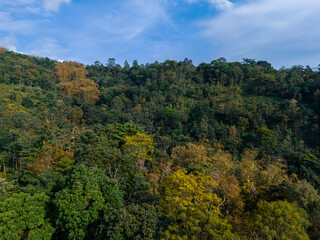 Fototapeta premium Beautiful tropical mountain landscape with dense green forest under a bright blue sky and dramatic white clouds. Natural scenery showing lush vegetation, misty hills, and vibrant foliage.