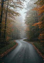 Obraz premium Winding wet asphalt road through a misty autumnal forest with orange and yellow foliage