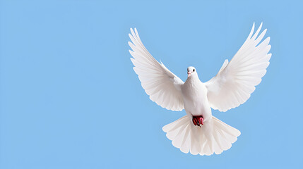 Fototapeta premium Stunning white dove soars gracefully through a clear blue sky, symbolizing peace and freedom for your next project.
