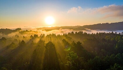 Obraz premium Sunrise Over Lush Forest With Sun Rays Shining Through Mist And Trees Creating Dramatic Light Effect With Calm Atmosphere And Golden Hour Lighting