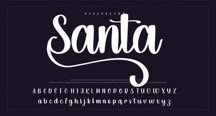 signature Font Calligraphy Logotype Script Brush Font Type Font lettering handwritten. vector illustration  