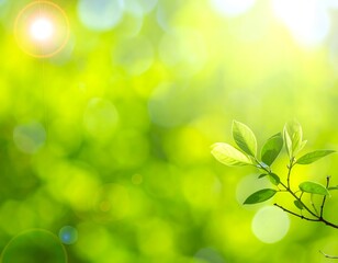 A bright, soft-focus shot captures a vibrant green background blurred foliage. circular bokeh highlights. the dreamy and natural