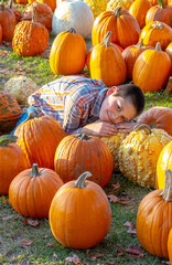  happy young boy is thrilled he has found the best pumpkin