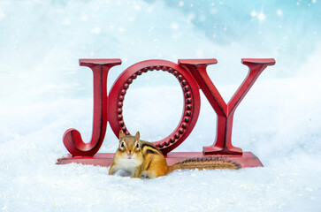 Joyful chipmunk in the snow poses by a holiday sign that says JOY