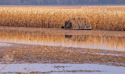 Hunting blind for duck hunters sits in a flooded corn field in Indiana USA