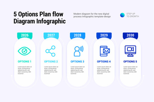 5 Option Plan Flow Diagram Infographic
