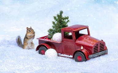 Curious chipmunk in winter holiday scene, seems surprised to see a tiny tree in a small red truck