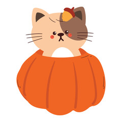 cute drawing cartoon cat inside autumn pumpkin with acorn on the head for autumn sticker