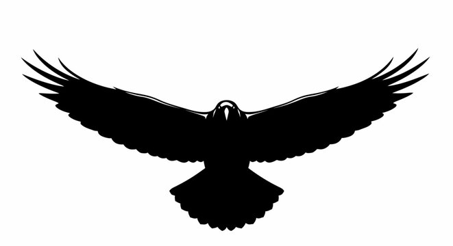 Silhouette of a black bird with wings spread wide, viewed from directly above.