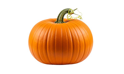 Obraz premium Isolated orange pumpkin with a green stem on a white background.
