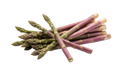 A bunch of fresh purple and green asparagus spears are artfully arranged on a white background.