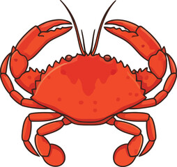 red crab on white background