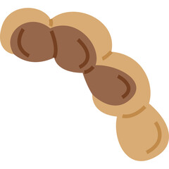 Brown Tamarind Pod with Seeds on White Background Isolated Simple Flat Illustration of Tropical Fruit