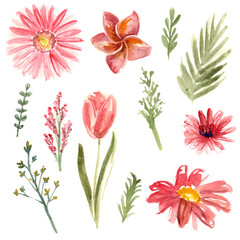 Watercolor Floral Elements