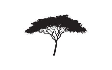 Acacia Tree Silhouette Vector – African Nature Landscape Illustration Design