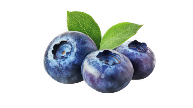 A close up shot of three blueberries with green leaves isolated against a black background image view