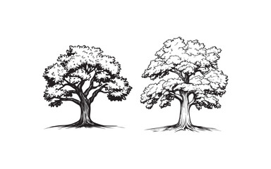 Acacia Tree Silhouette Vector – African Nature Landscape Illustration Design