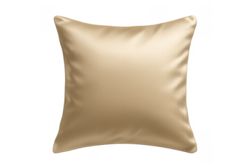 Beige luxury silk cushion with soft fabric texture