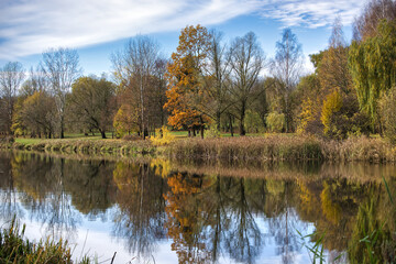Autumn Park Lake Reflections With Colorful Trees And Calm Water Landscape